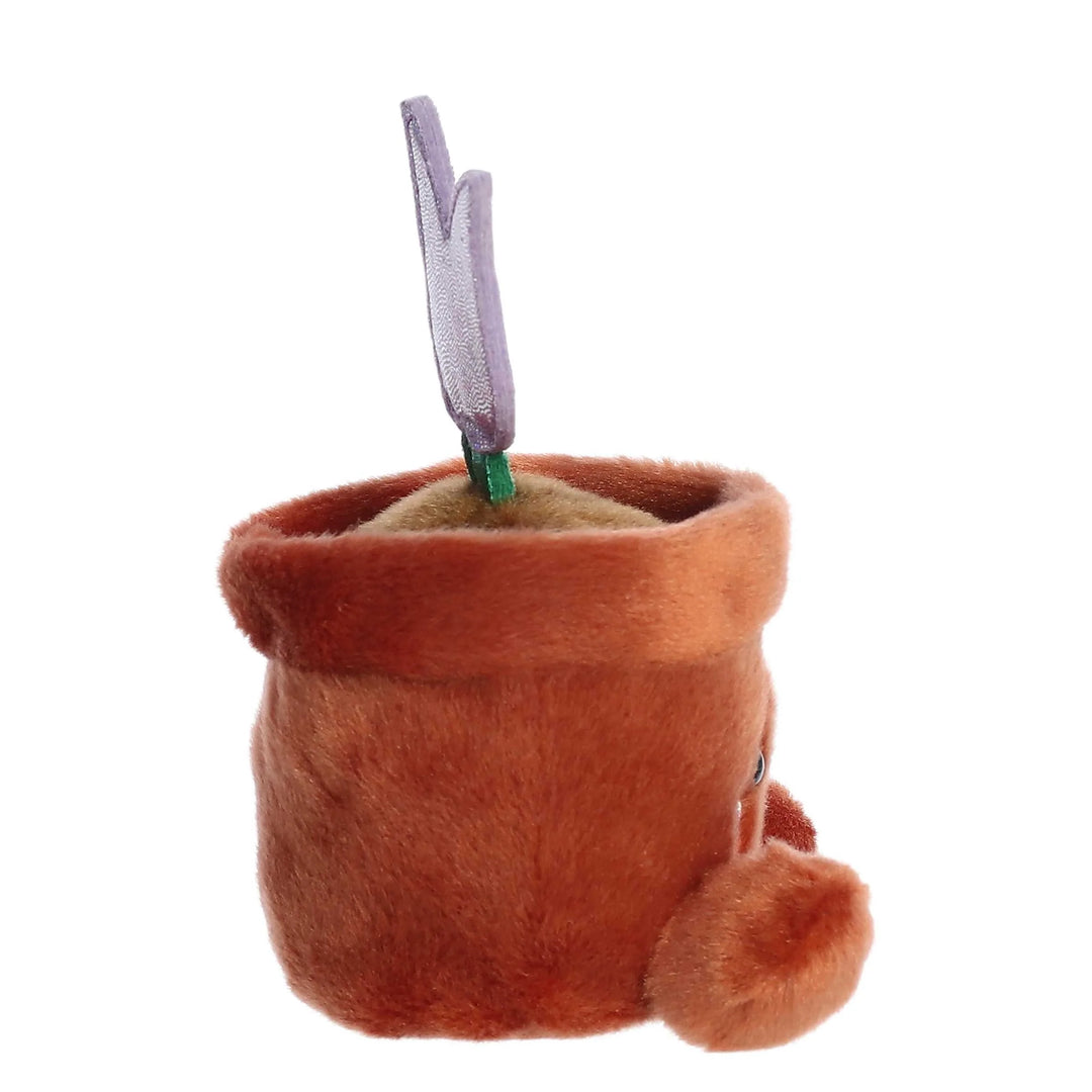 Palm Pal - Holland Potted Tulip