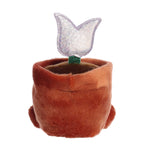 Holland Potted Tulip