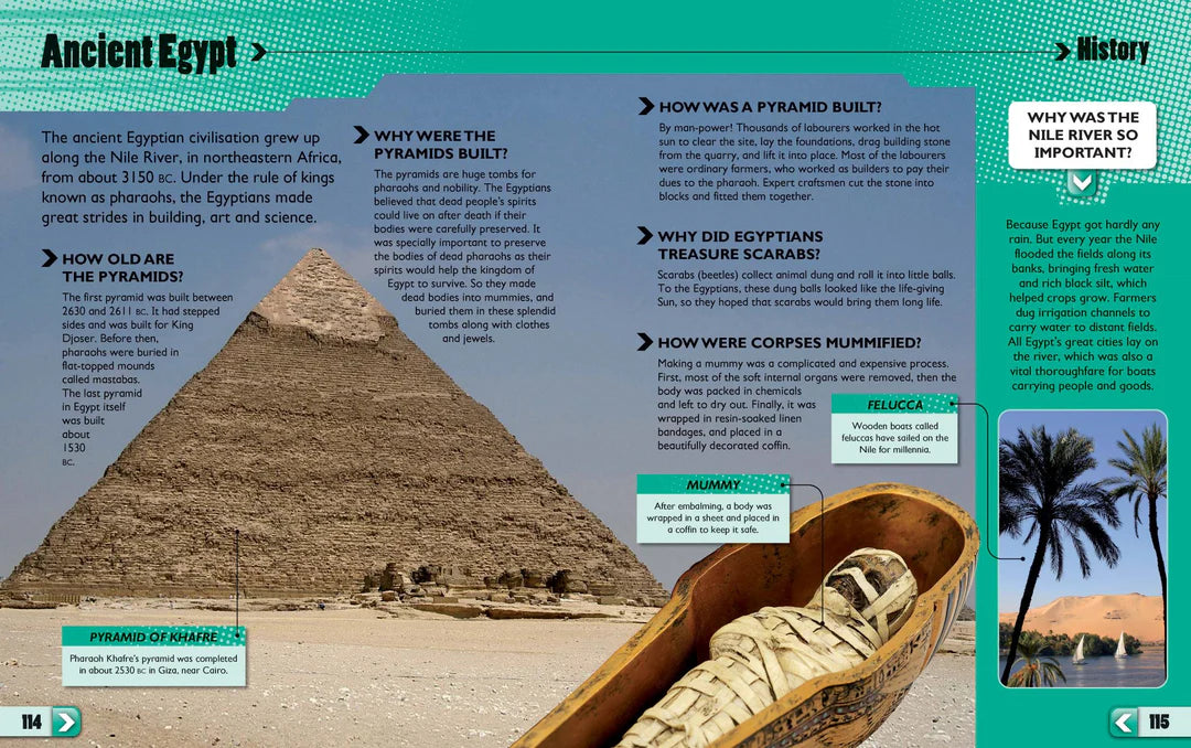 1001 Questions & Answers