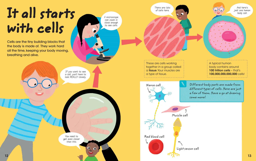 Factivity Volume 2 - 128pg Reference - Human Body