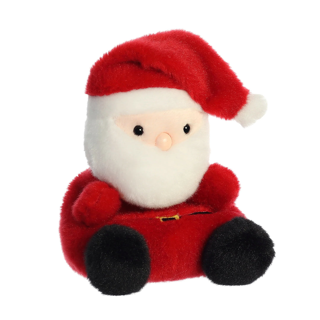 Palm Pal - Santa Claus