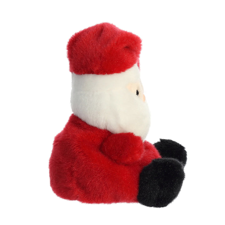 Palm Pal - Santa Claus