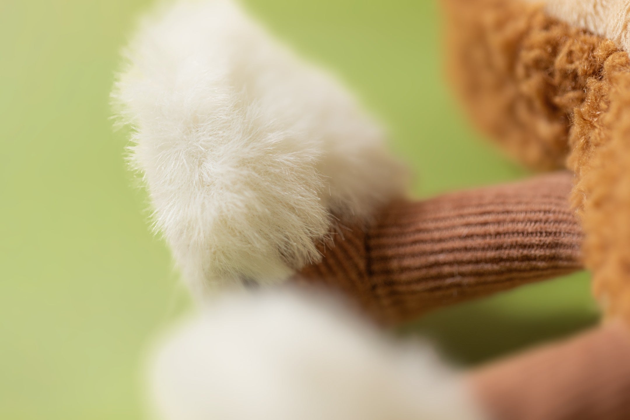 Amuseables Egglantine Egg On Toast