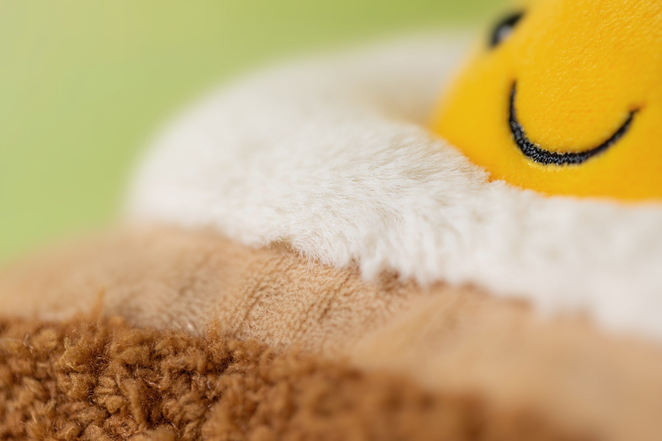 Amuseables Egglantine Egg On Toast