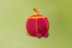 Jellycat Amuseables Rayray Lantern