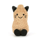 Jellycat Amuseables Peanut Cat Outfit