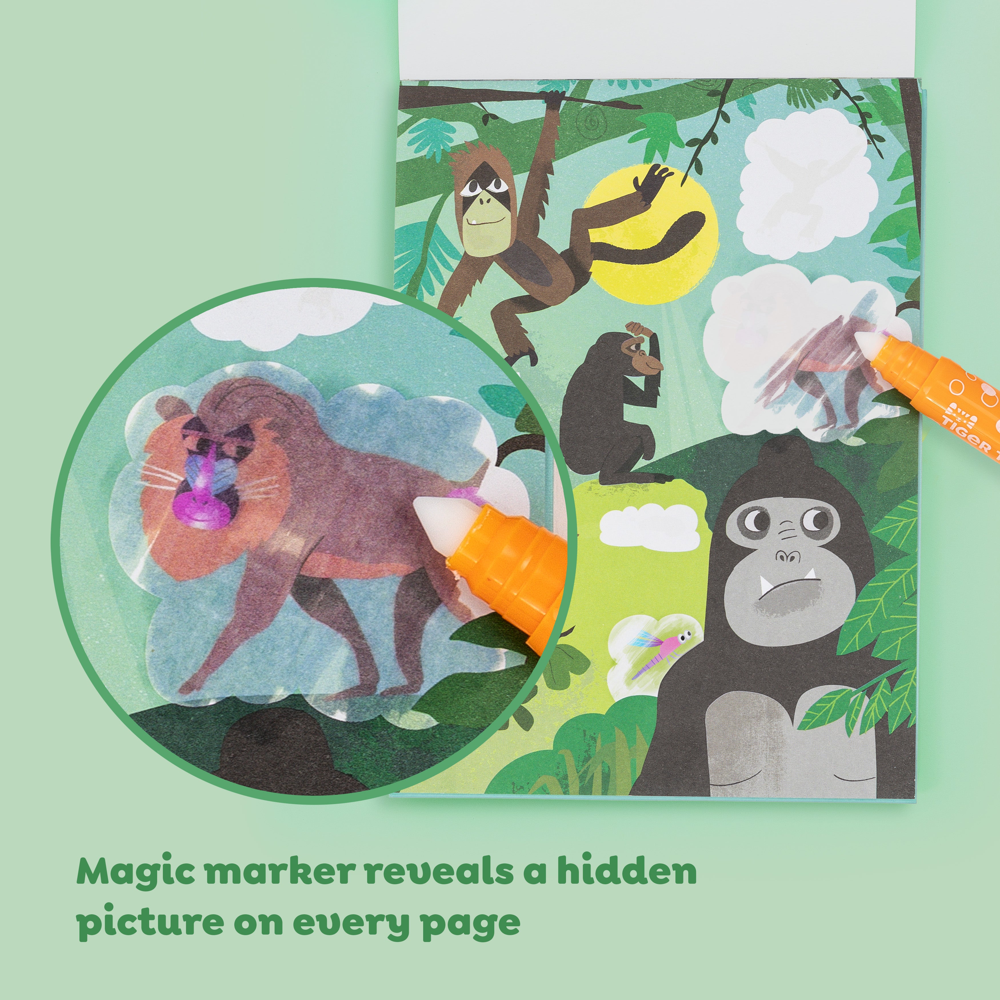 Colour Surprise - Zoo Adventures