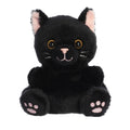 Twilight Black Cat