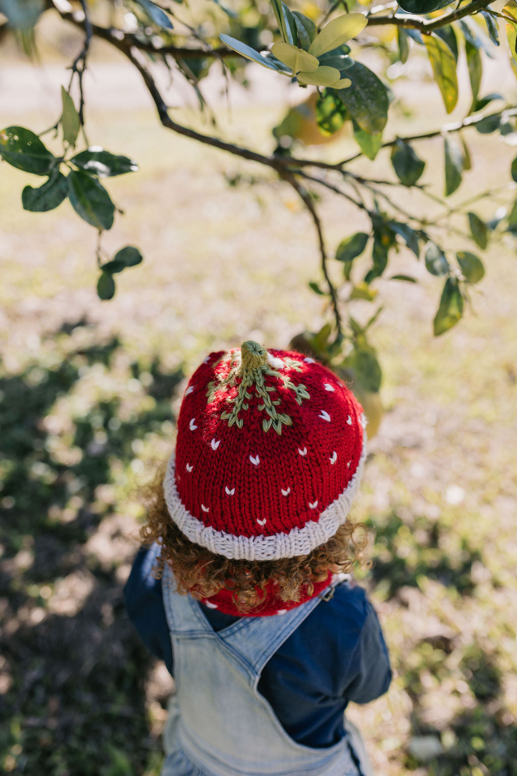 Strawberry Beanie