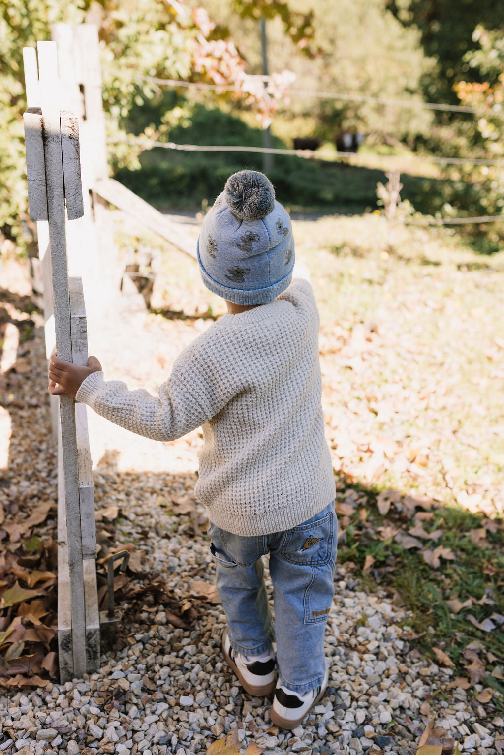 Koala Merino Beanie