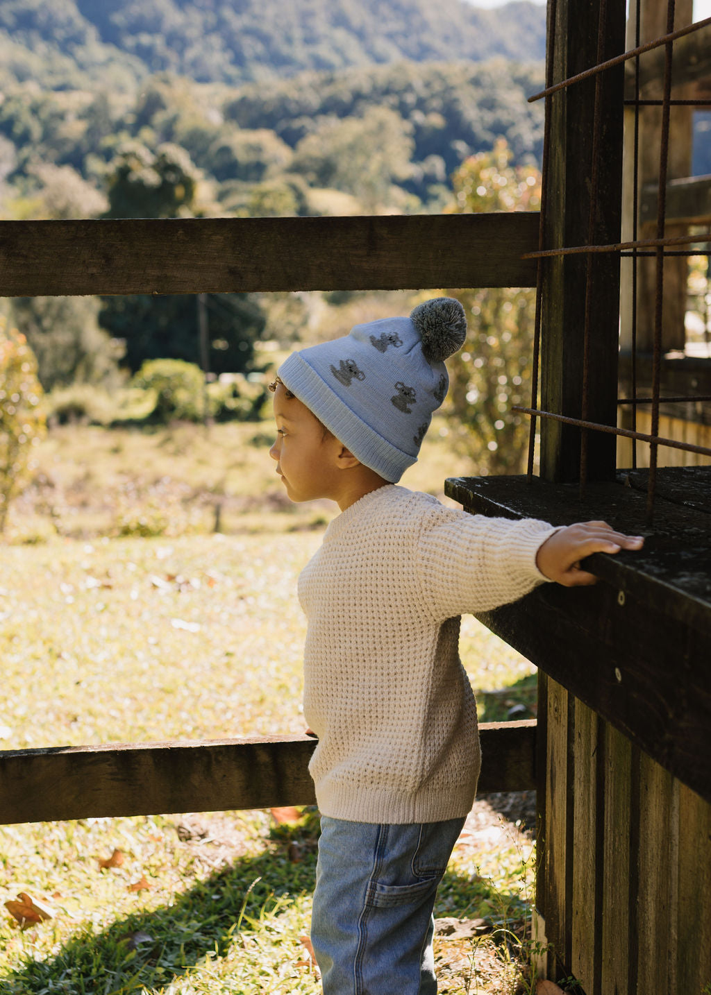 Koala Merino Beanie