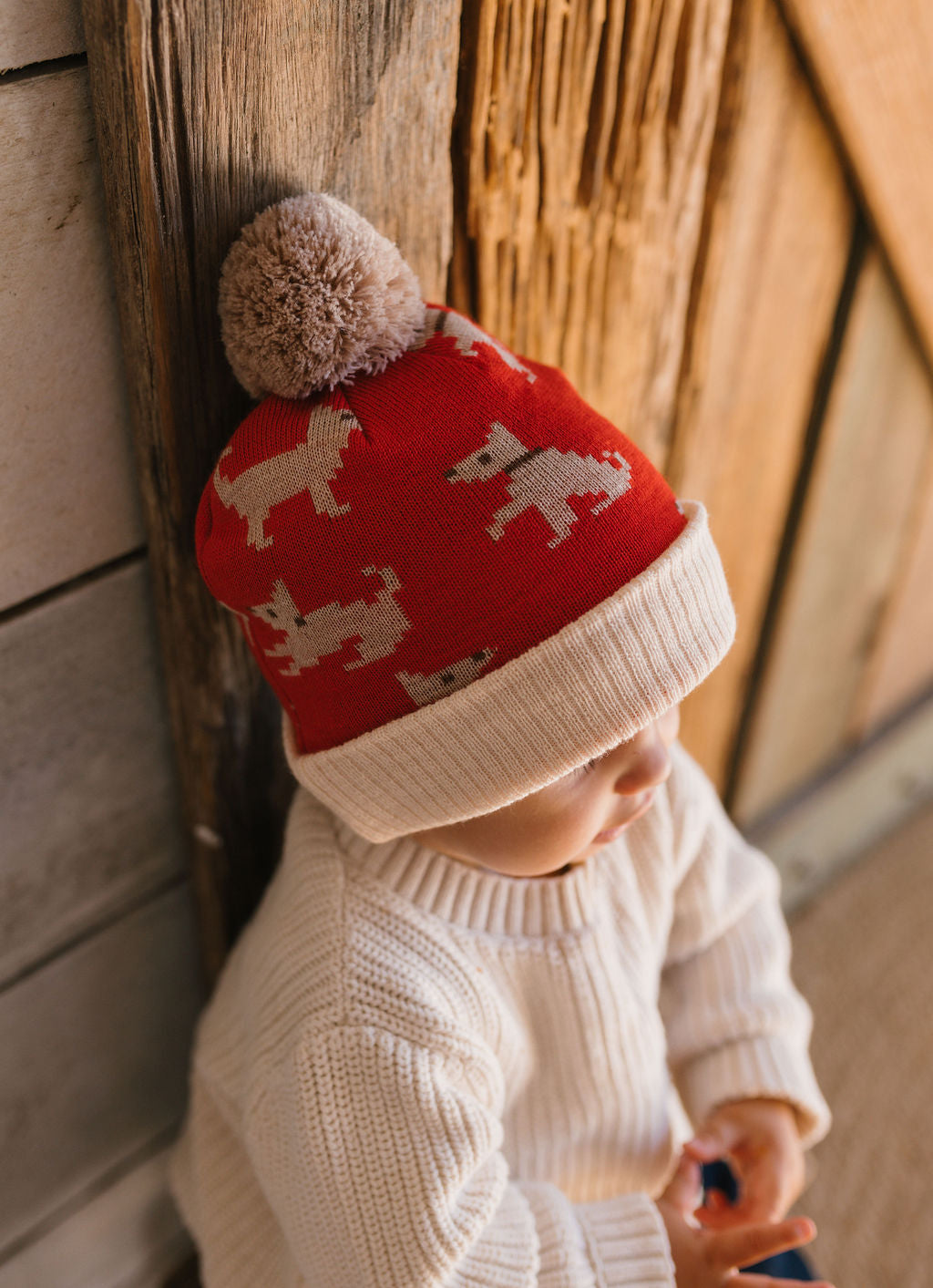 Puppy Dog Merino Beanie