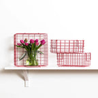 The Baskets - Berry
