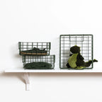 The Baskets - Olive