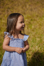 Gala Dress Linen - Blue Stripe