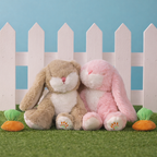 Binky Bunny - Dot