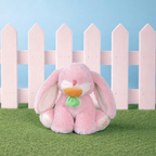 Binky Bunny - Dot