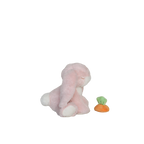 Binky Bunny - Dot