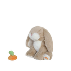 Binky Bunny - Hop