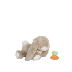 Binky Bunny - Hop