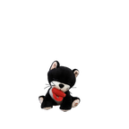 Binky Kitten Kit Black & White