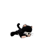 Binky Kitten Kit Black & White