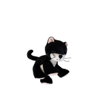 Binky Kitten Kit Black & White