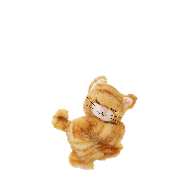 PRE-ORDER Binky Kitten Koda Ginger