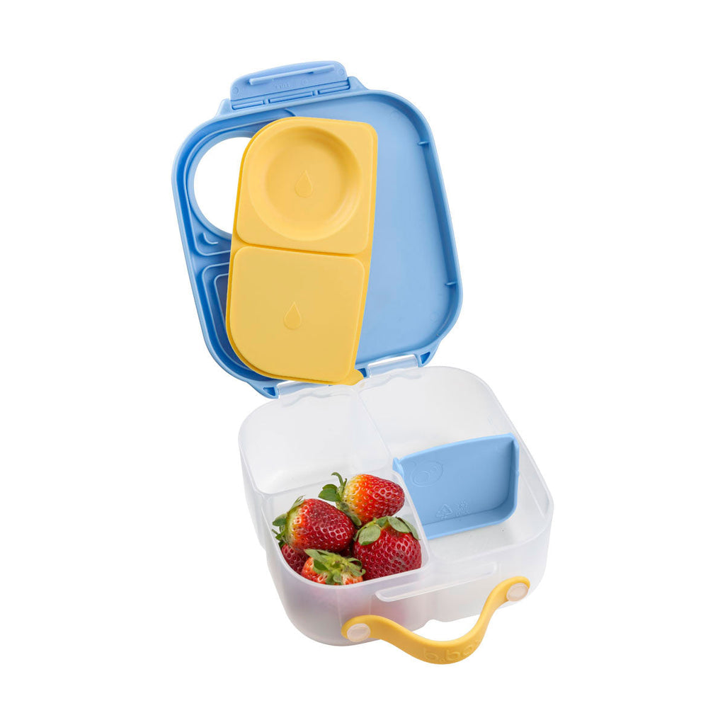 Mini Lunchbox - Bluey