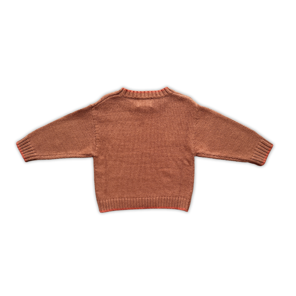 Organic Starlight Knit Pull Over - Earth