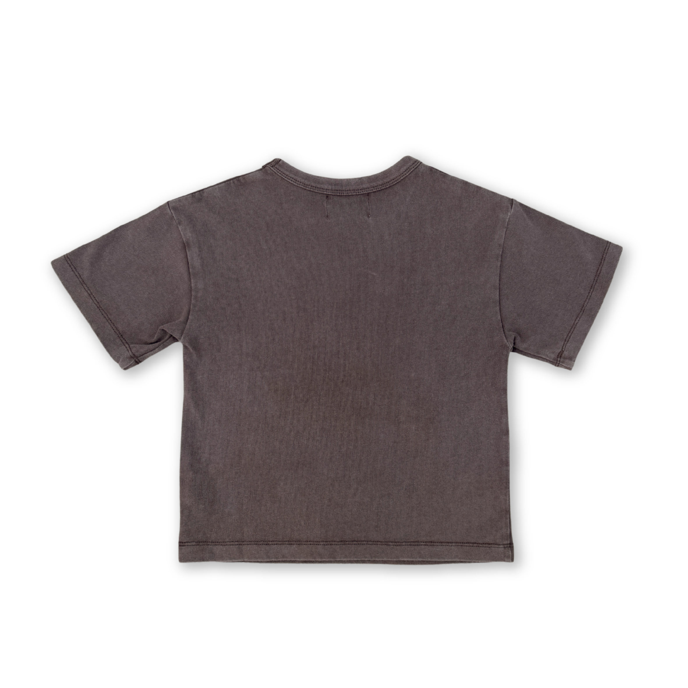 Parrot Fish Tee - Dune
