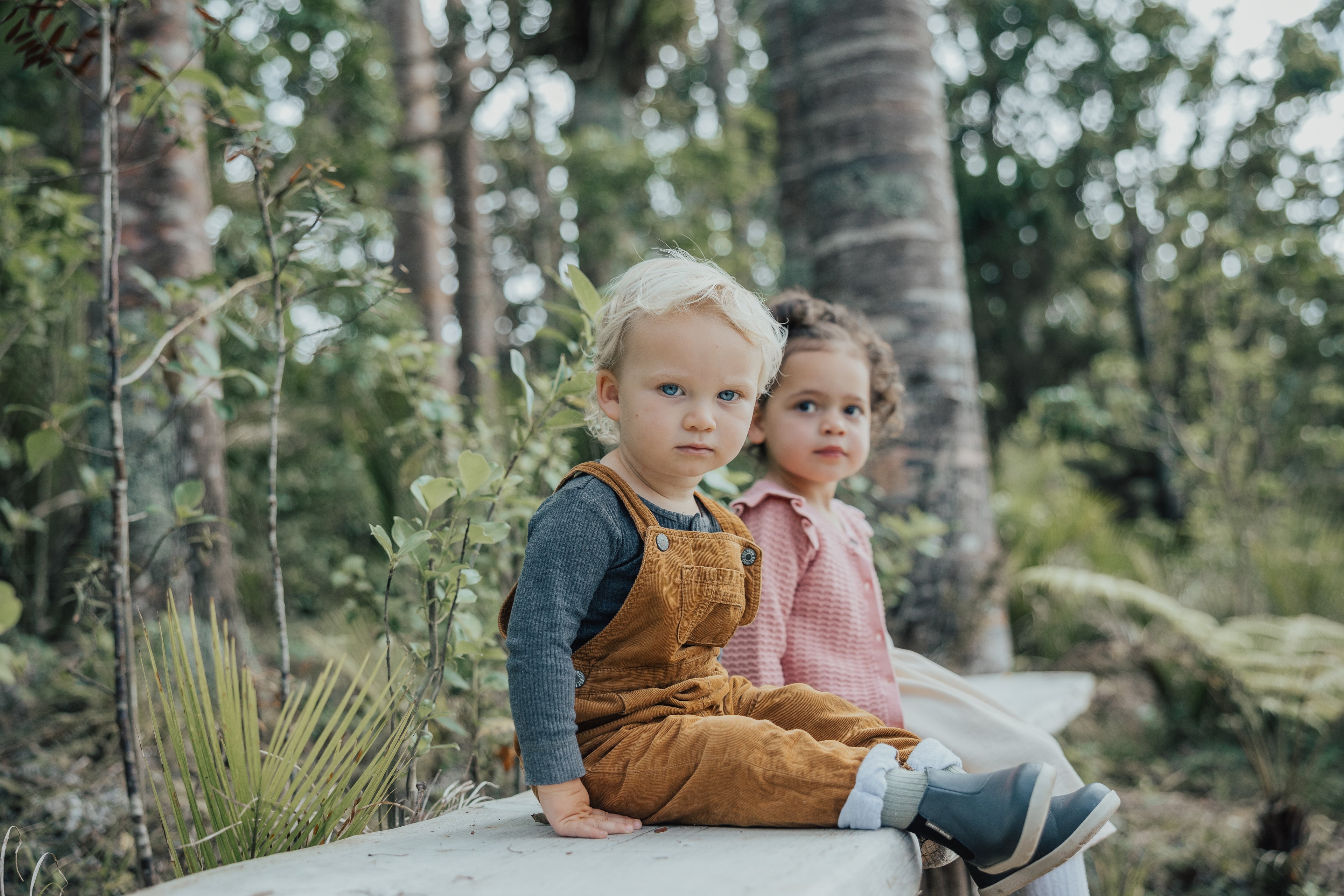 Pretty Brave Charlie - Indigo