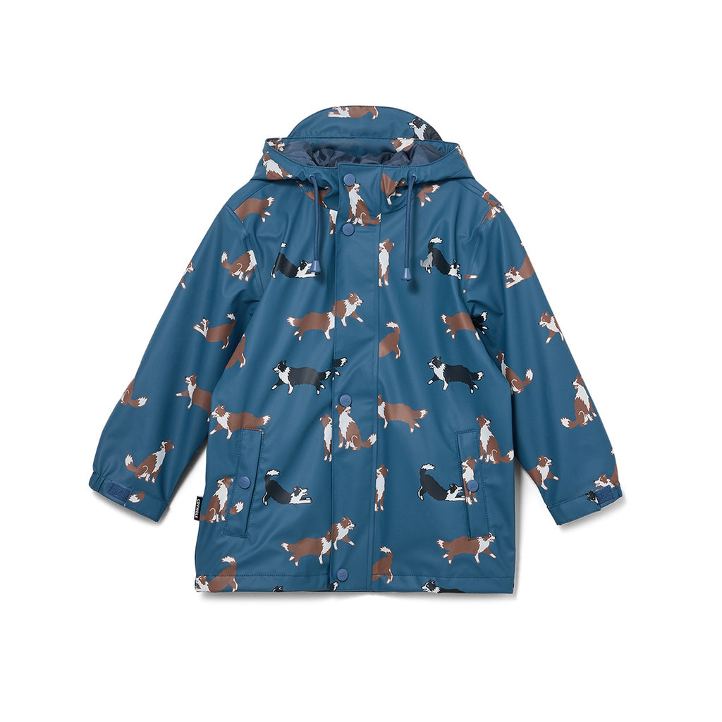 Play Jacket Collies
