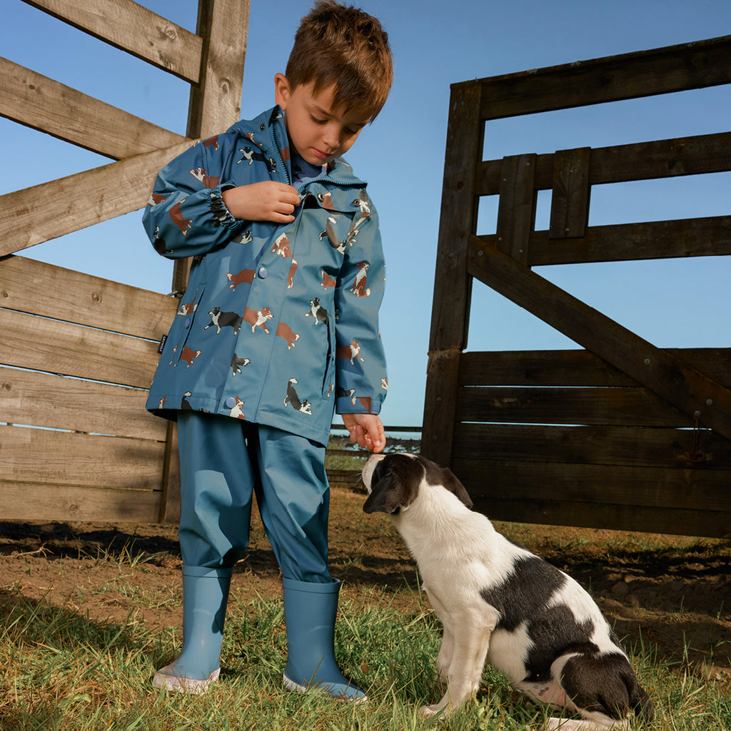 Play Jacket Collies