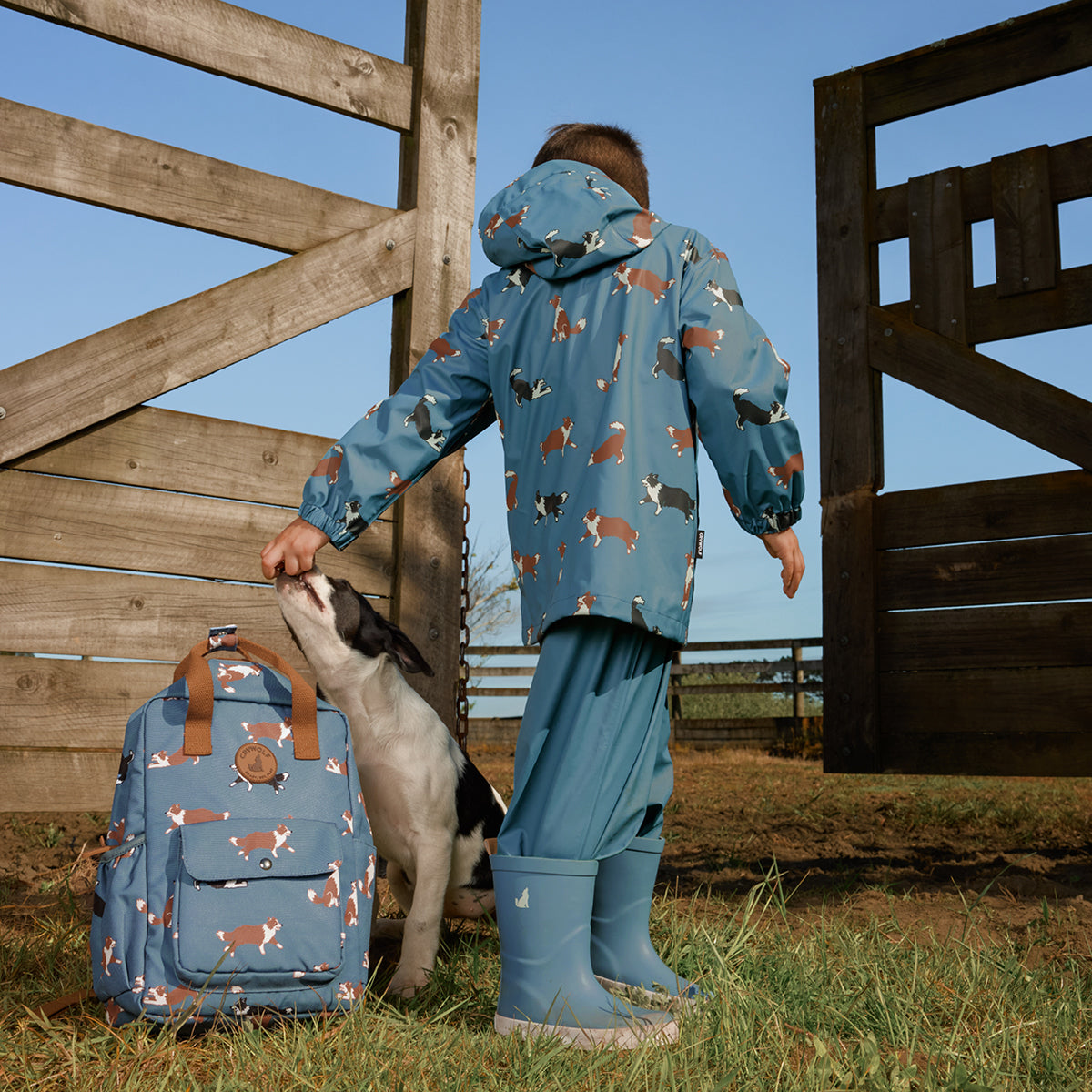 Play Jacket Collies