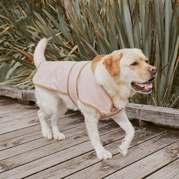 Crywolf Ruff Jacket - Dusty Pink
