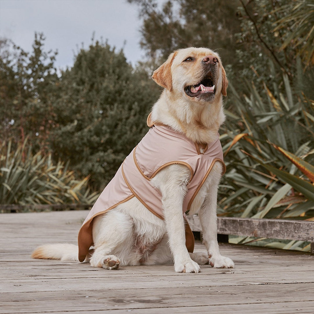 Crywolf Ruff Jacket - Dusty Pink