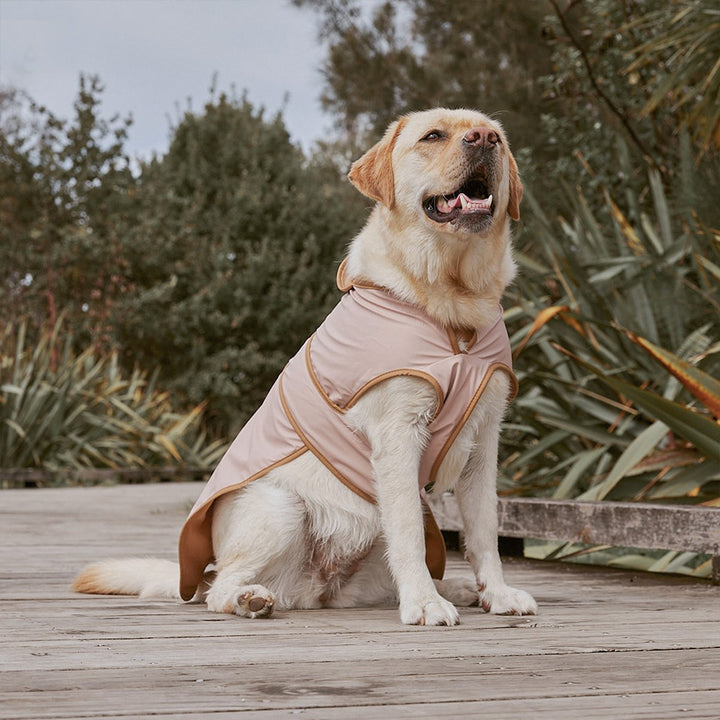 Crywolf Ruff Jacket - Dusty Pink
