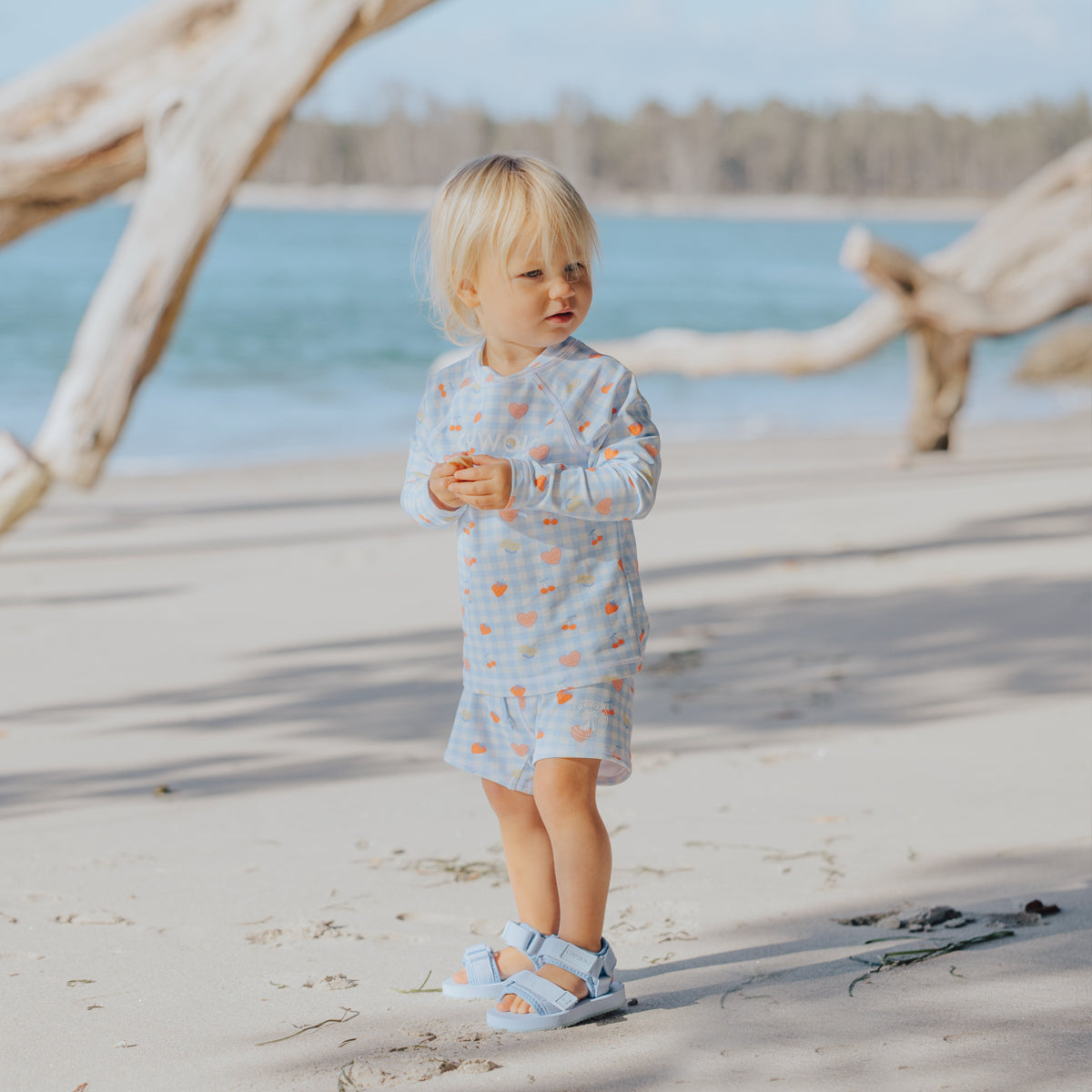 Crywolf Baby Swim Short - Lucky Picnic