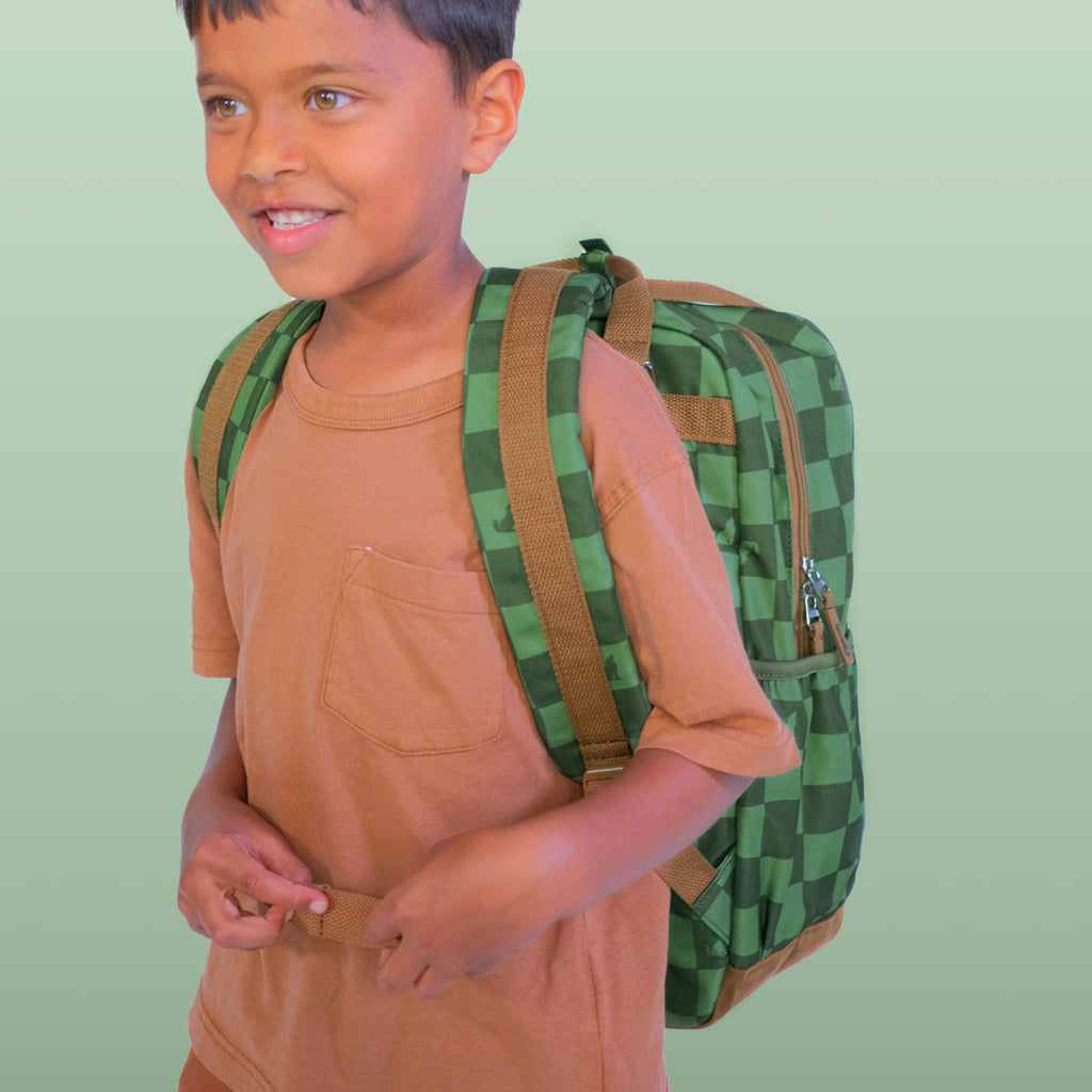 Knapsack Green Check