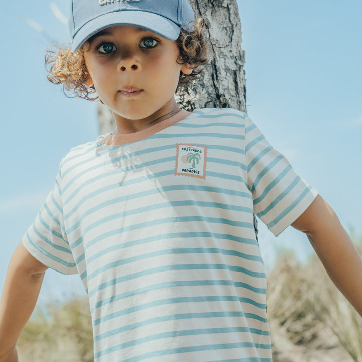 Crywolf Sun Smart T-Shirt -  Blue Stripe