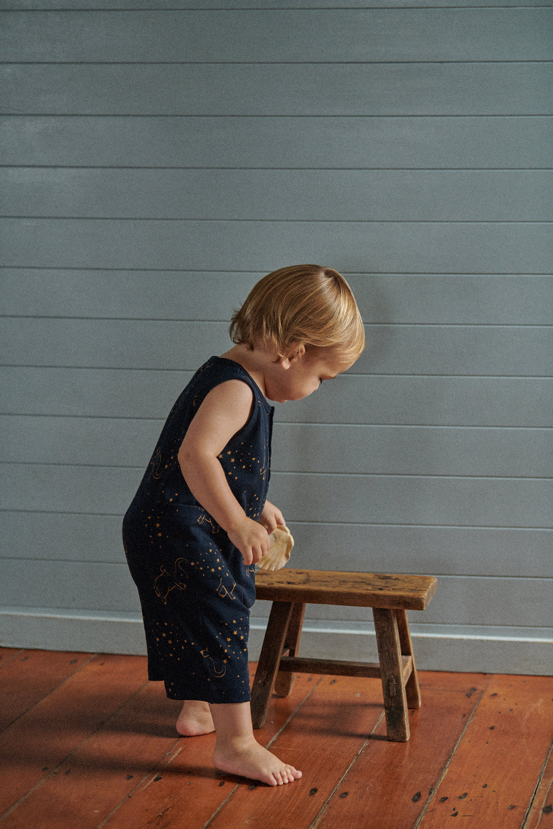 Nature Baby Camper Suit - Fairground Navy Print