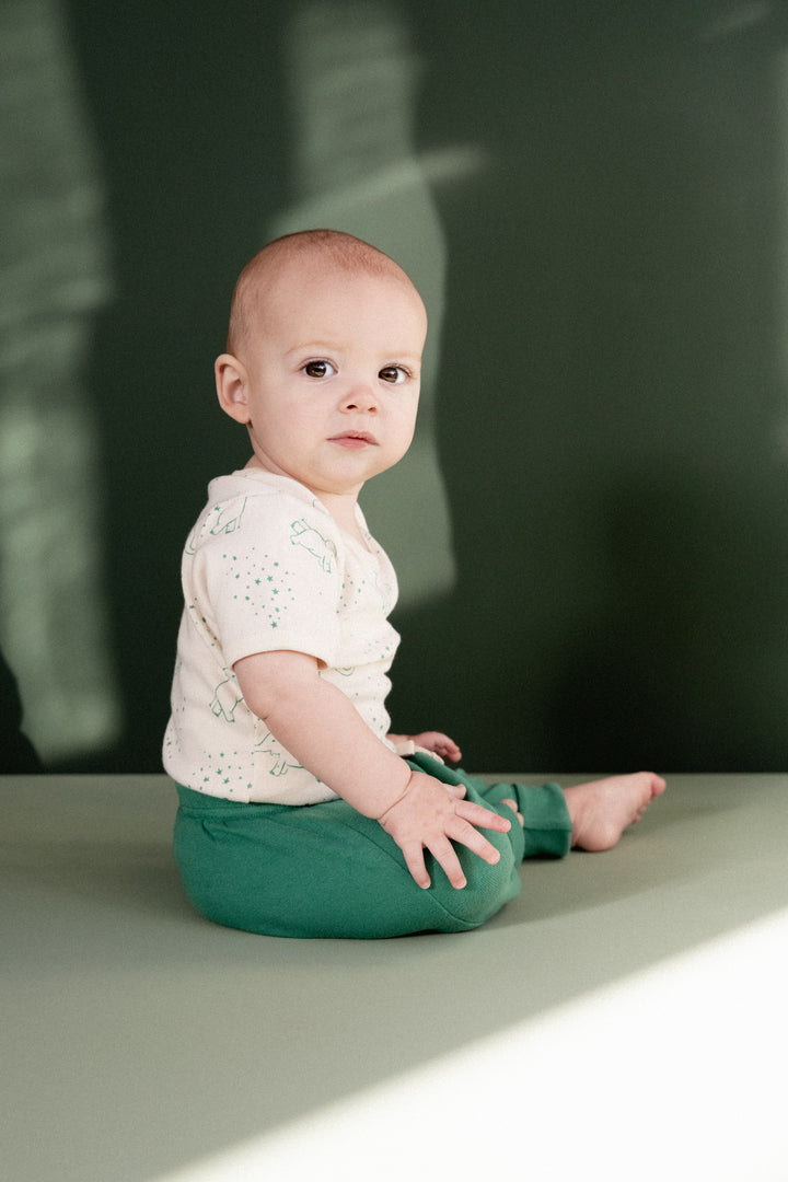 Nature Baby Short Sleeve Bodysuit - Fairground Print