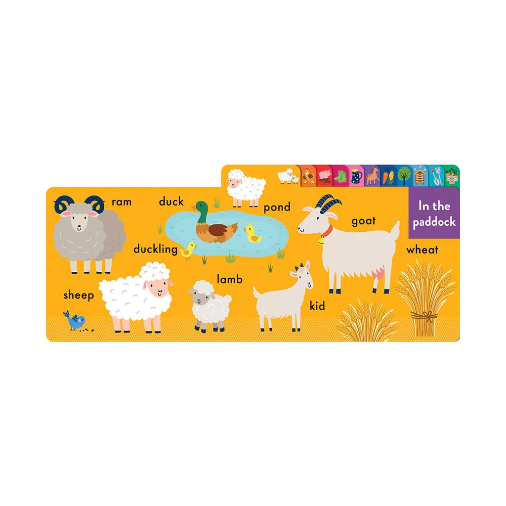 Chunky Tabbed Board Book - On the Farm