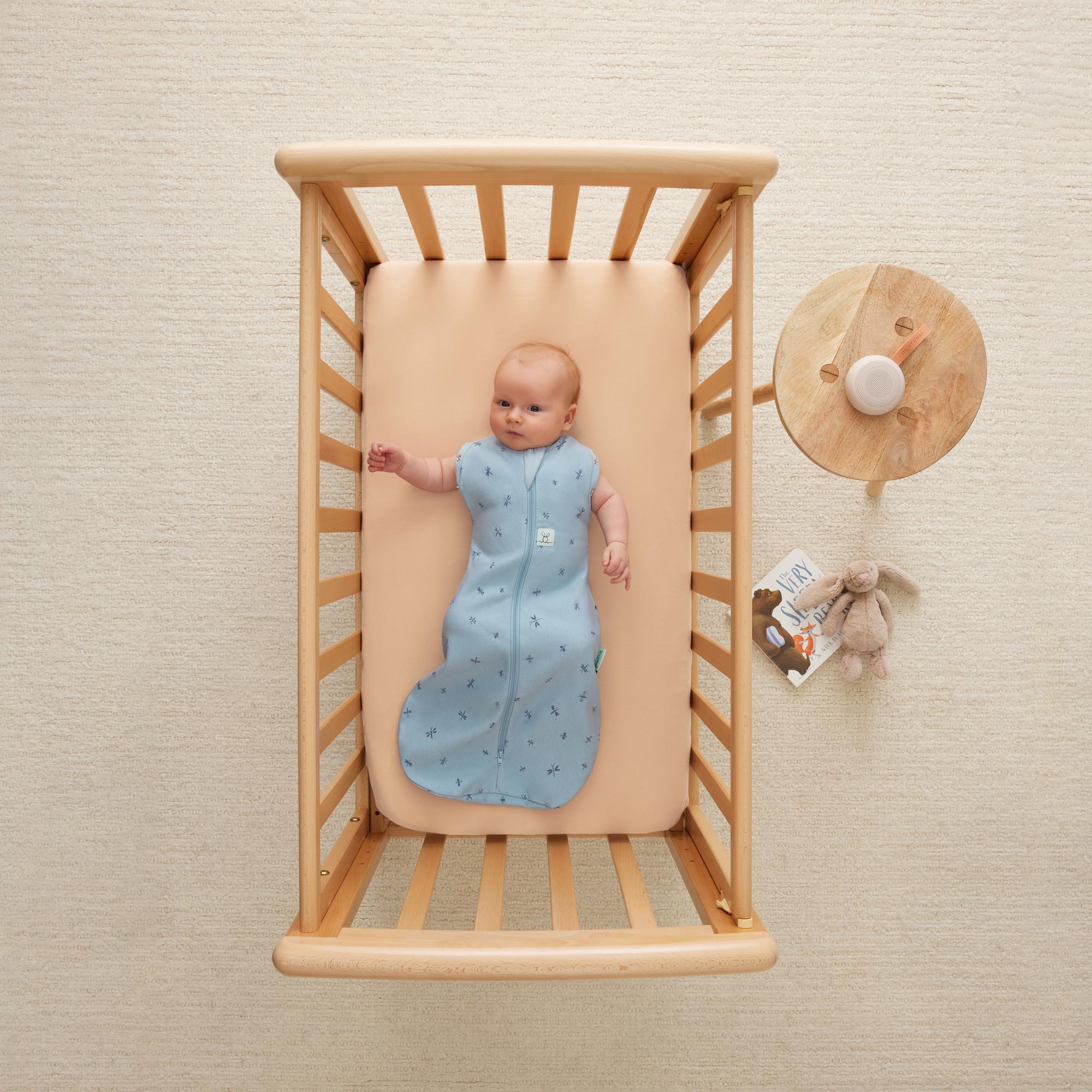 Cocoon Swaddle Bag  0.2 TOG - Dragonflies