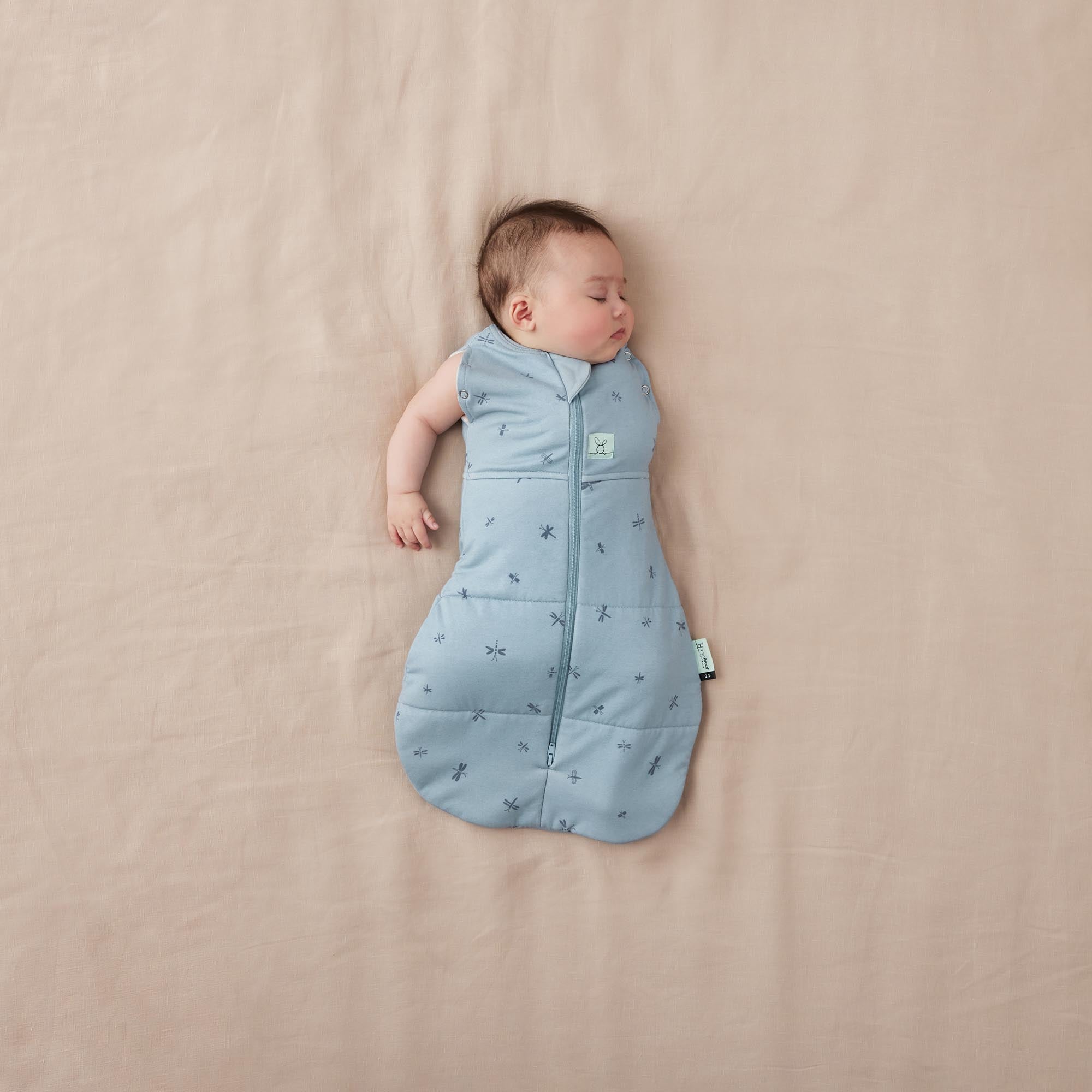 Cocoon Swaddle Bag  2.5 TOG - Dragonflies