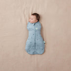 Cocoon Swaddle Bag  2.5 TOG - Dragonflies
