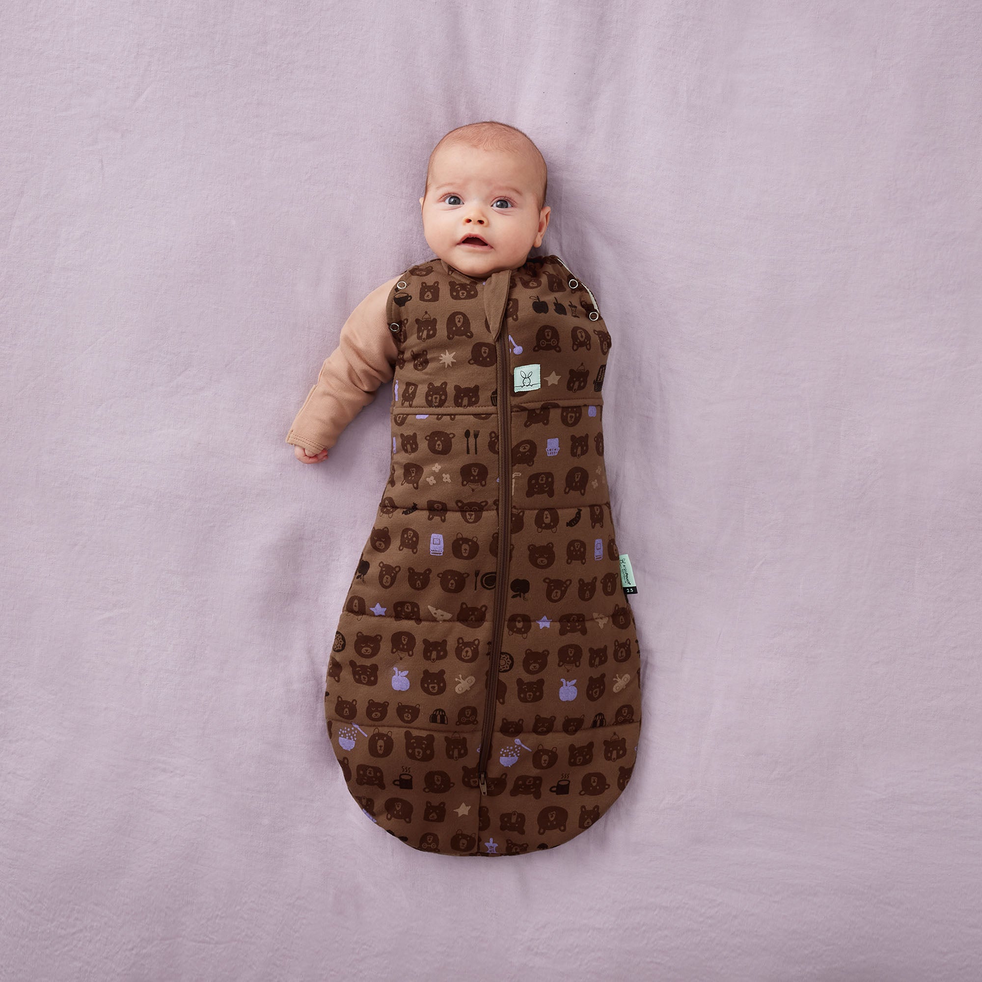 Cocoon Swaddle Bag  2.5 TOG - Picnic