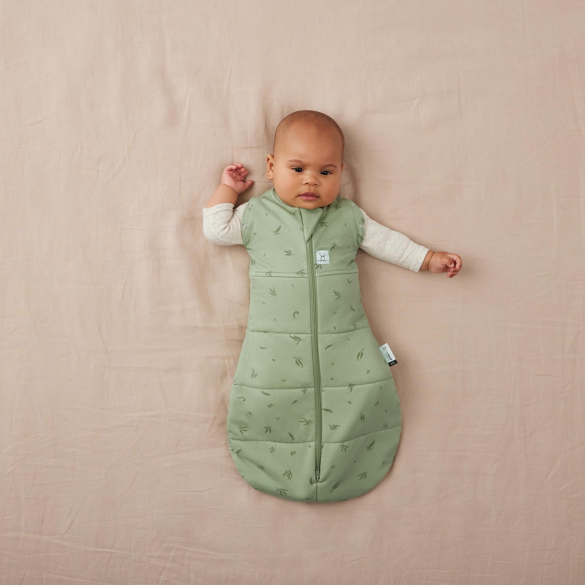 Cocoon Swaddle Bag  2.5 TOG - Willow