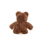 Cozy Day Dinkum - Bobby Bear